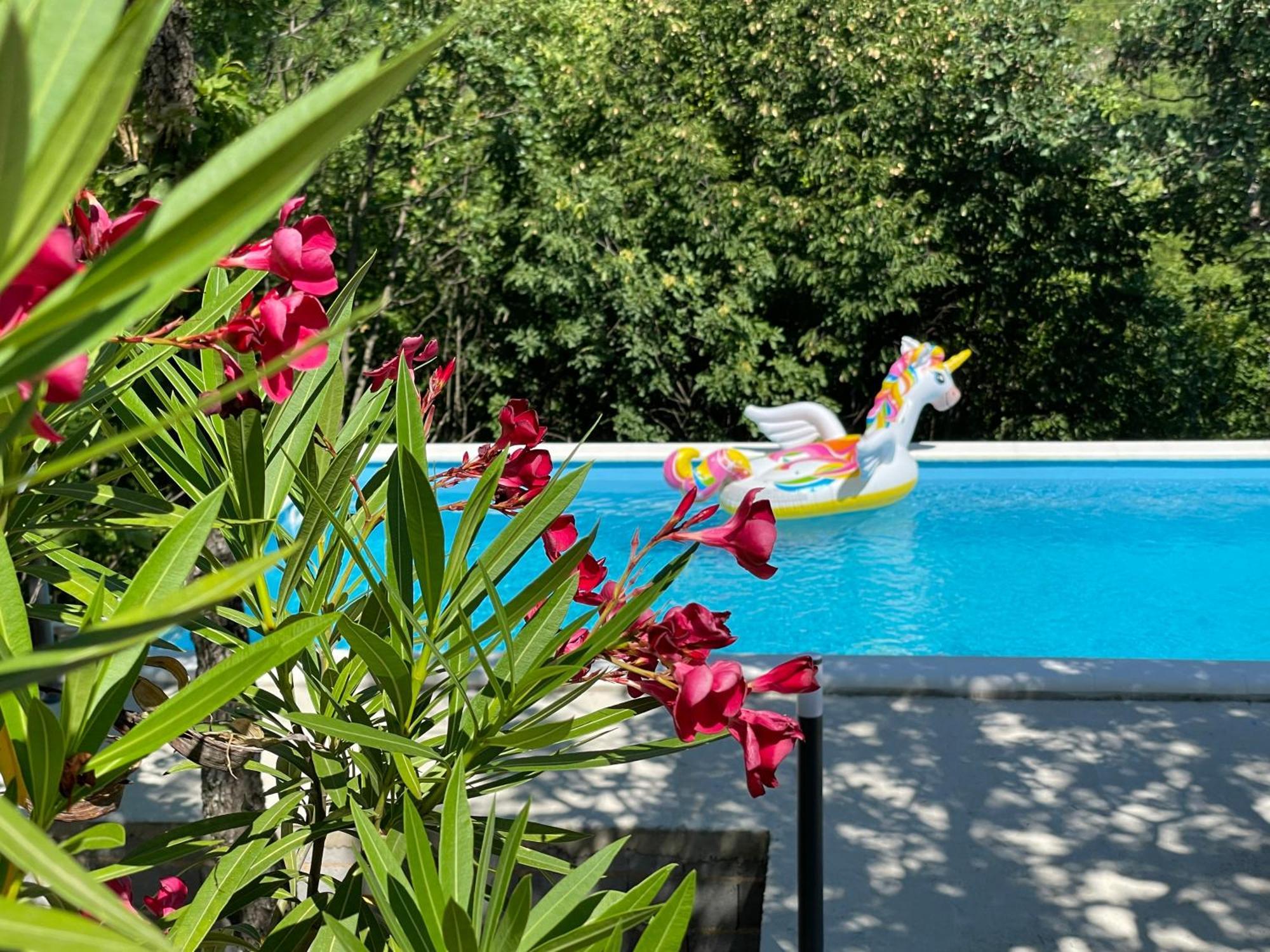 Holiday House Dunamis Krivodol Екстер'єр фото